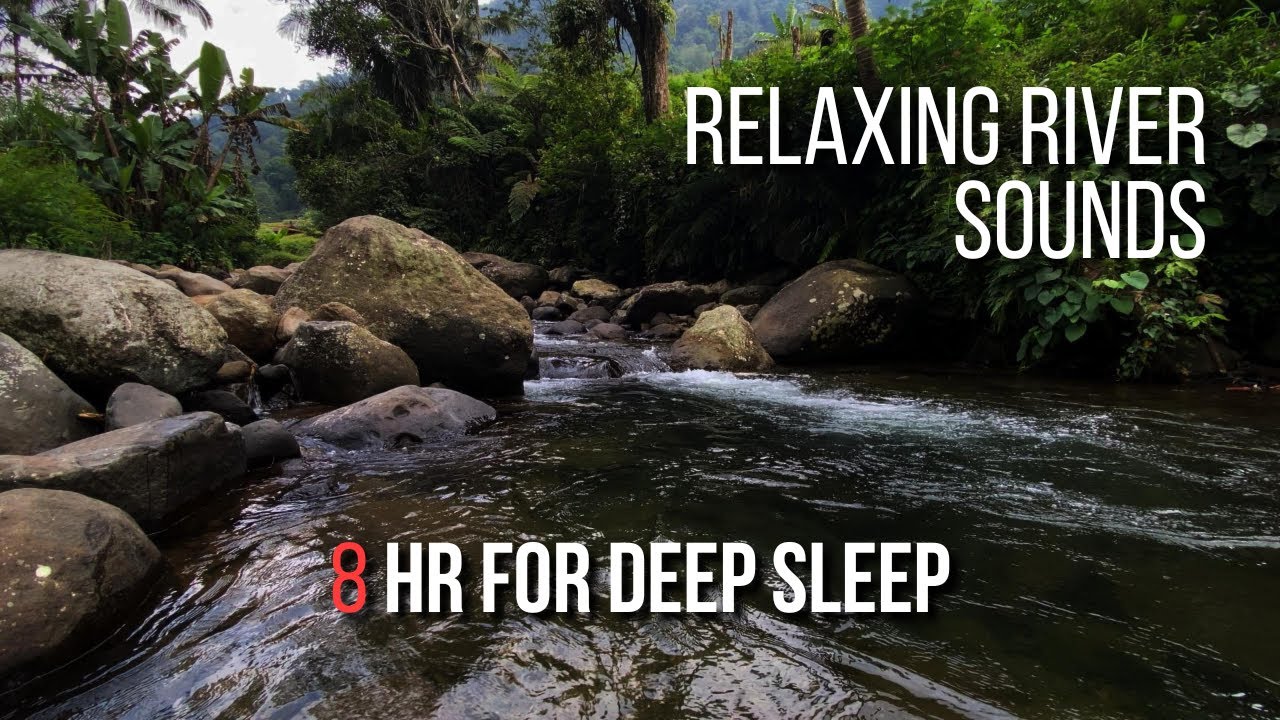 Relaxing River Sounds for Deep Sleep | Calm Forest Water Ambience