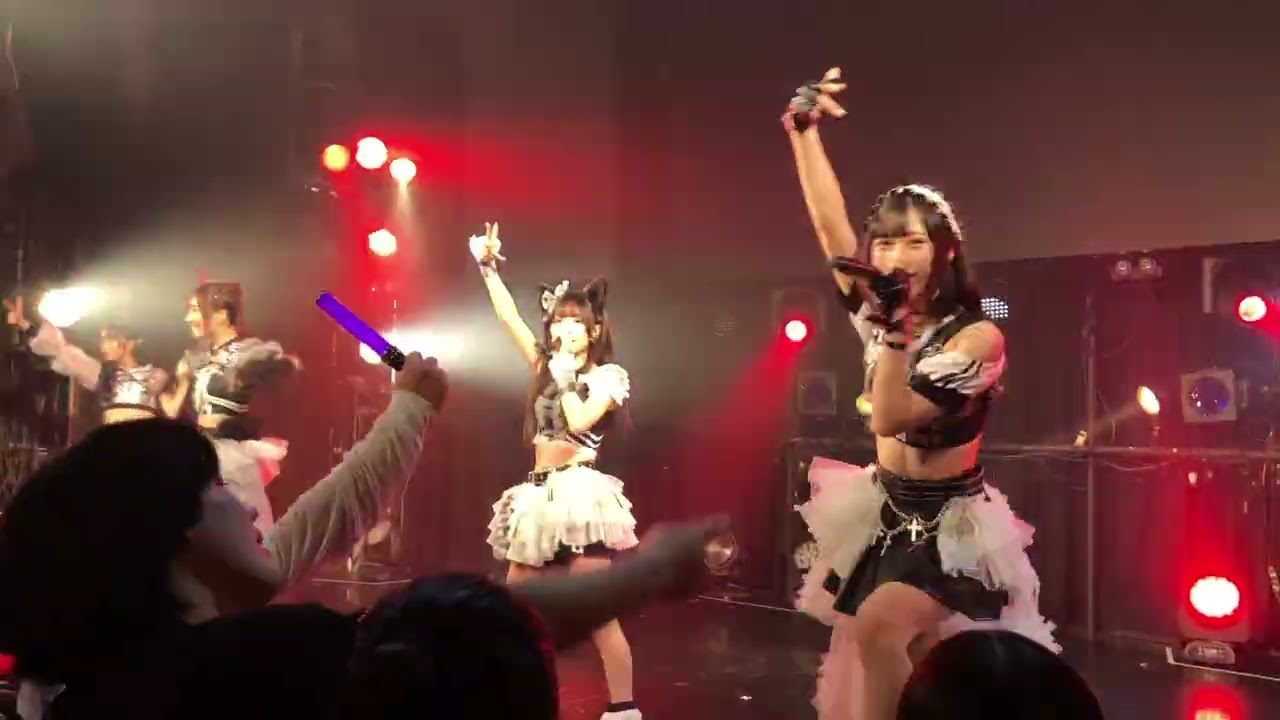キングサリ『シークレットガール』
