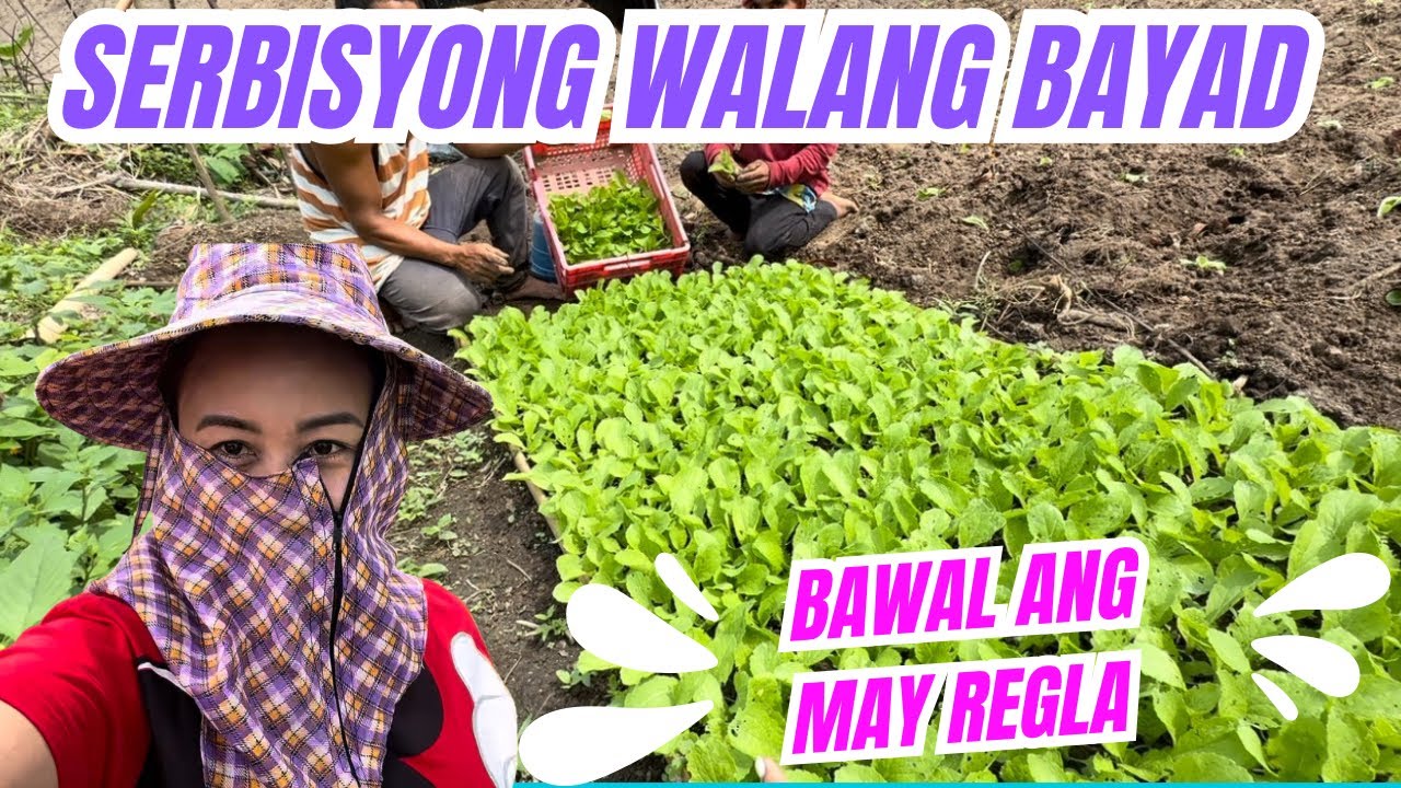 ⚠️TRABAHONG HINDI PERA ANG IBINAYAD • Atshee Ep74