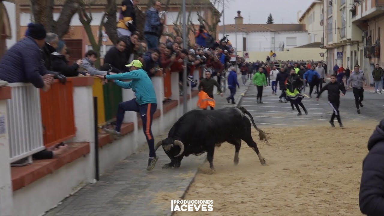 2 Toros de Barcial - Ar&eacute;valo 07-02-26