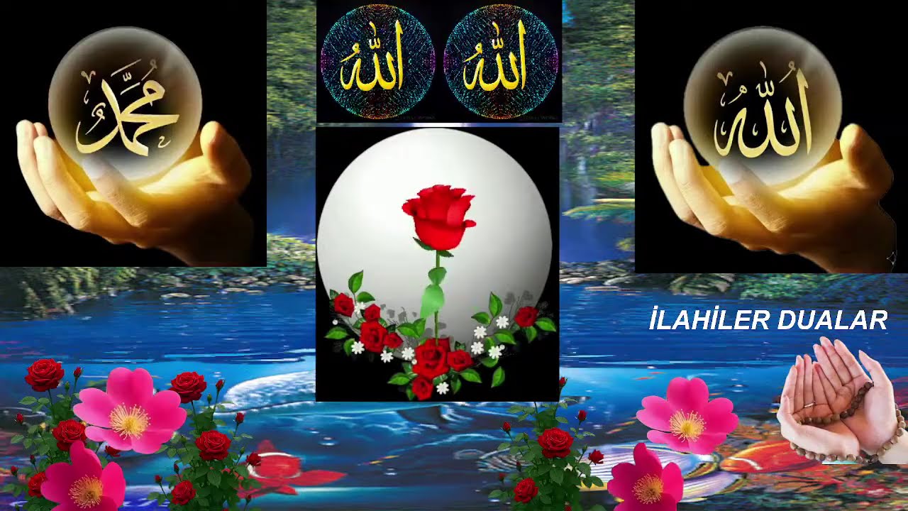 İLAHİ DİNLE  CENNET KOKUSUNDA Müslüm Can ilahileri Gül kokulu ilahileri #fypviral #dinivideolar 