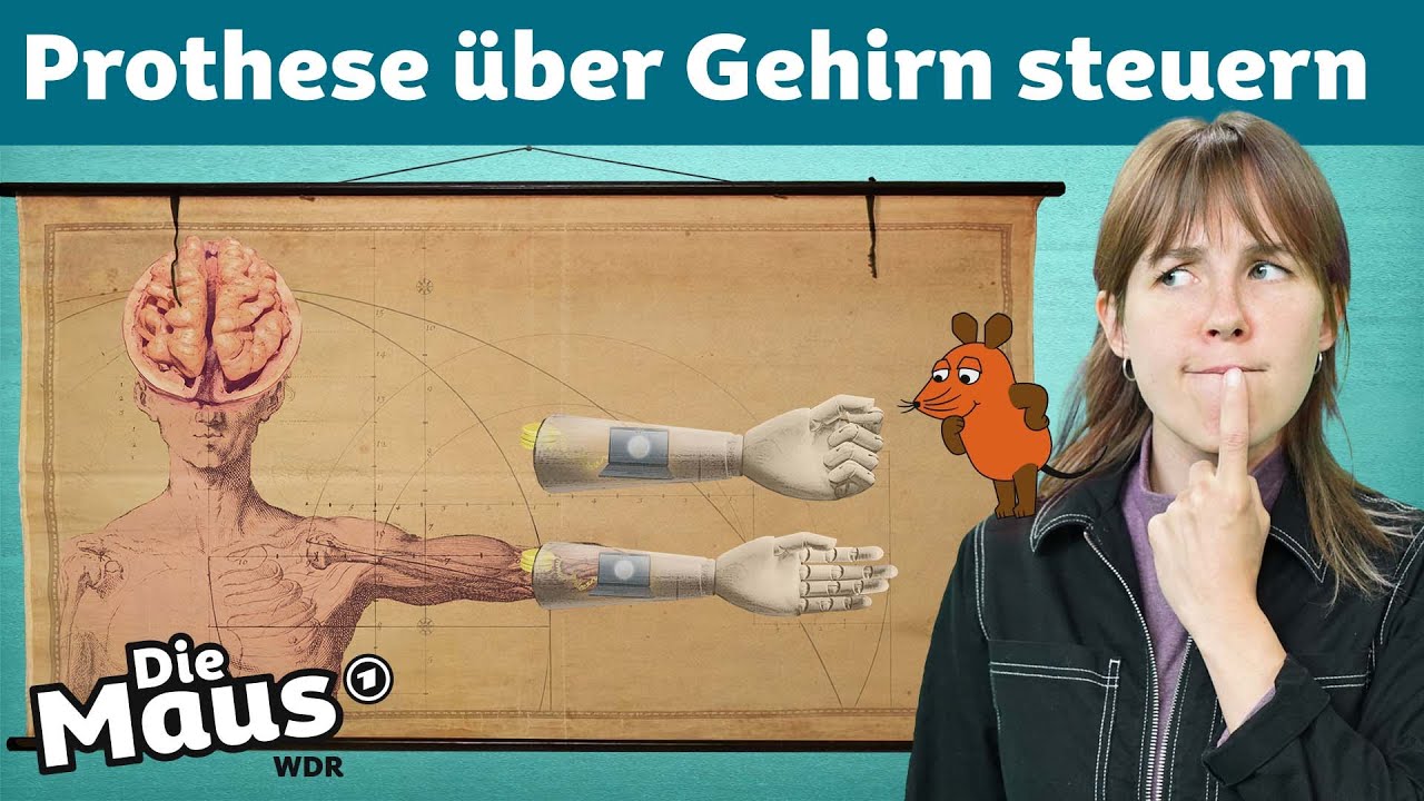 Stell dir vor … du könntest überall dran kommen | DieMaus | WDR