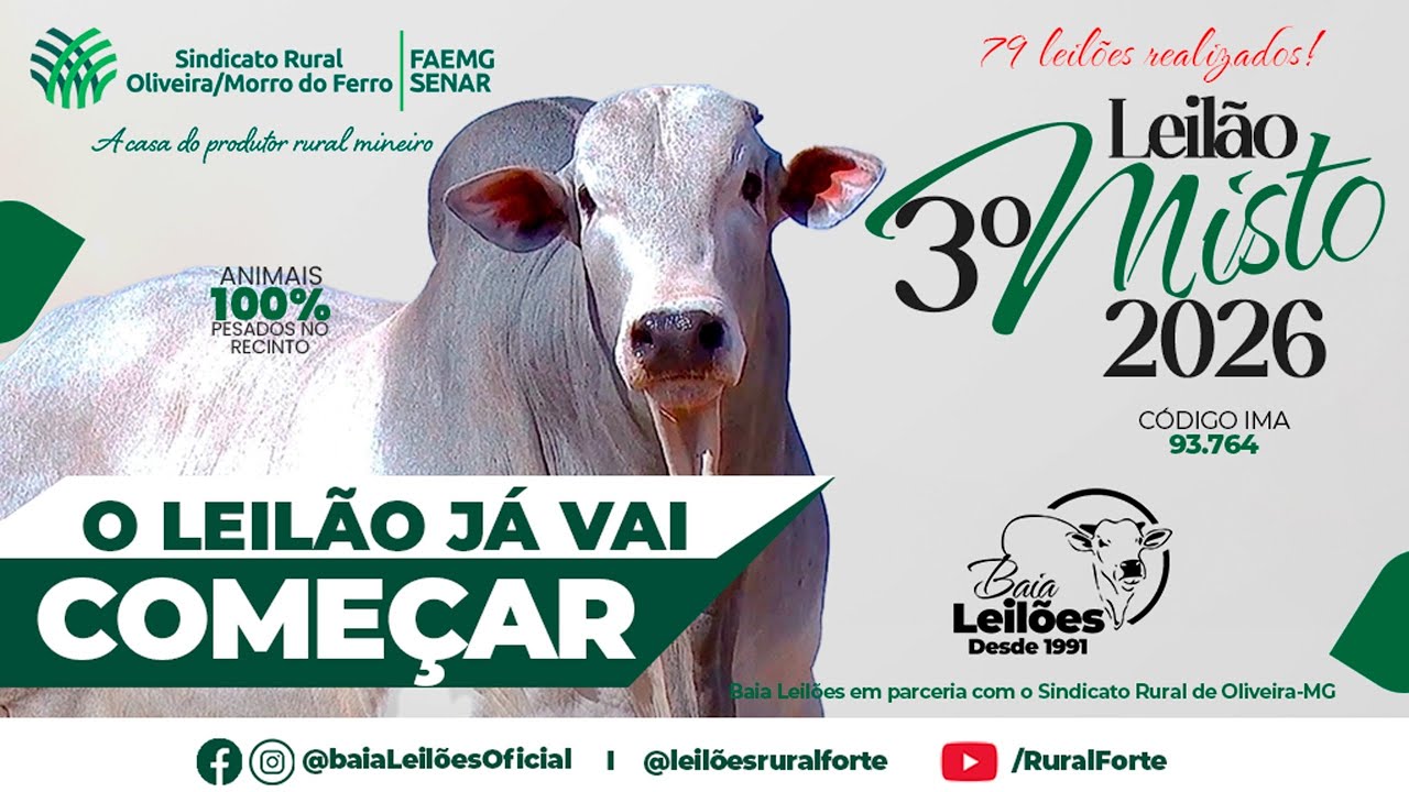 79&ordm; LEIL&Atilde;O VIRTUAL E PRESENCIAL DE CORTE SINDICATO DE OLIVEIRA, OLIVEIRA - MG, DIA 03/02/26.