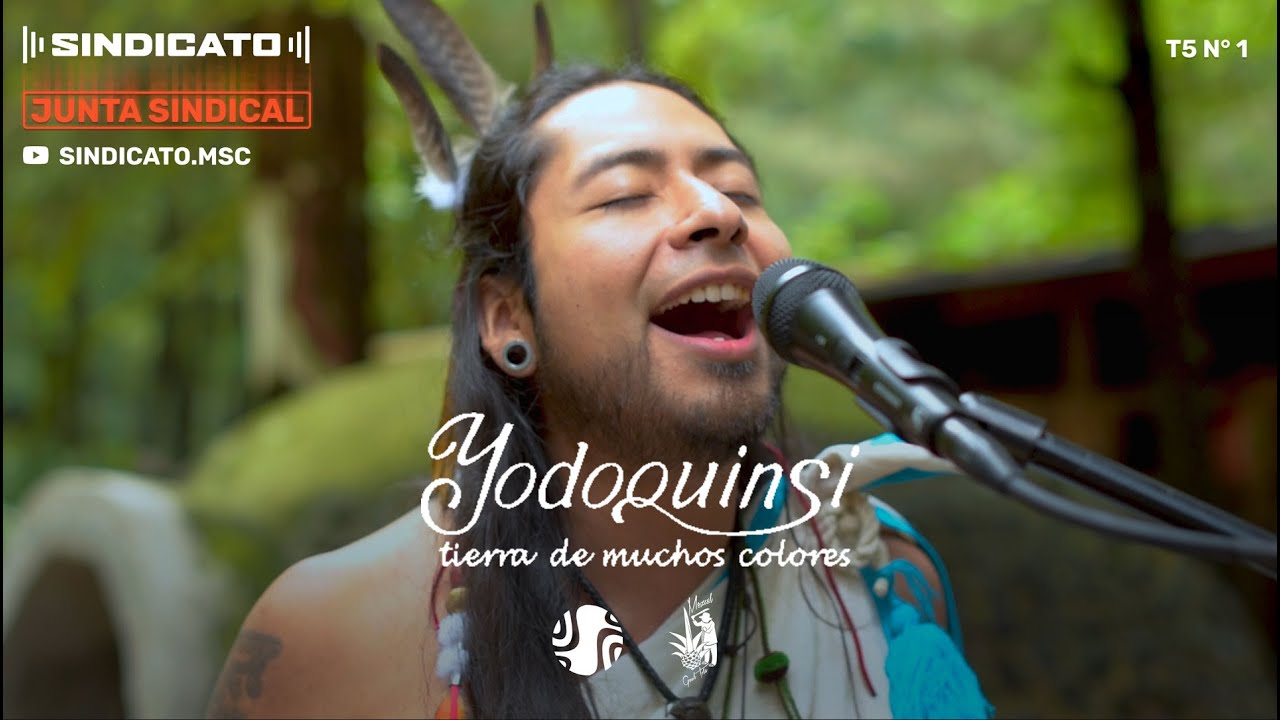 YODOQUINSI - MÚSICA PREHISPÁNICA / SINDICATO LIVE SESSION #livemusic #musicaenvivo #prehispanico