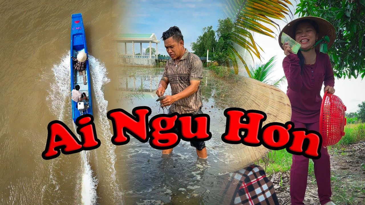 Ai Ngu Hơn #videogiaitri #vochongson #nguyenhuyvlog