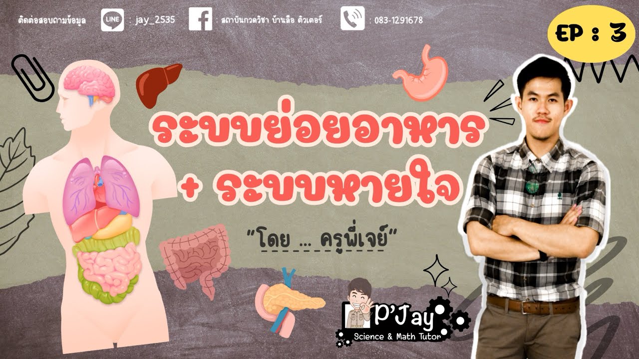 ระบบย่อยอาหาร และระบบหายใจ ของสัตว์และมนุษย์ ~  ชีวะ ม.5 EP : 3 | Kru P'Jay