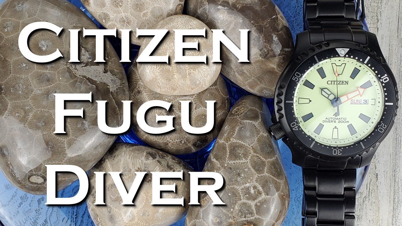 Citizen Promaster Dive Automatic NY0155-58X Full Lume Смотреть видео #fugu #fugudiver #citizen