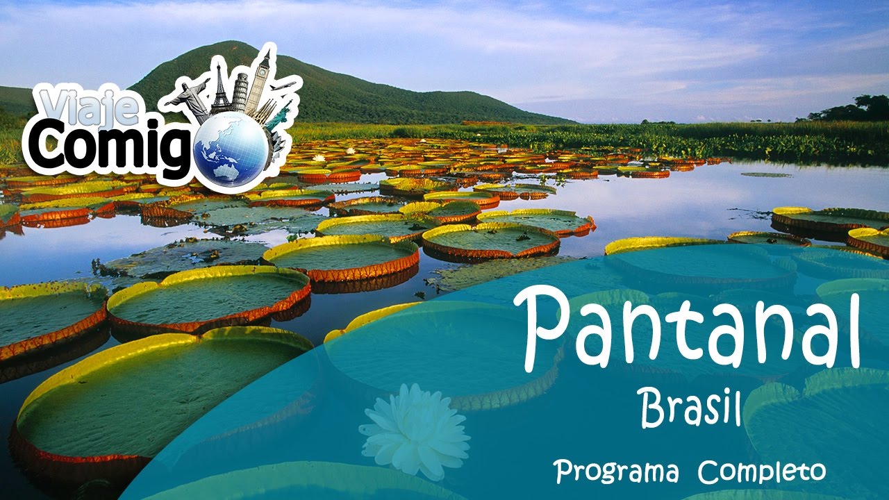 PANTANAL | MATO GROSSO DO SUL | PROGRAMA Viaje Comigo