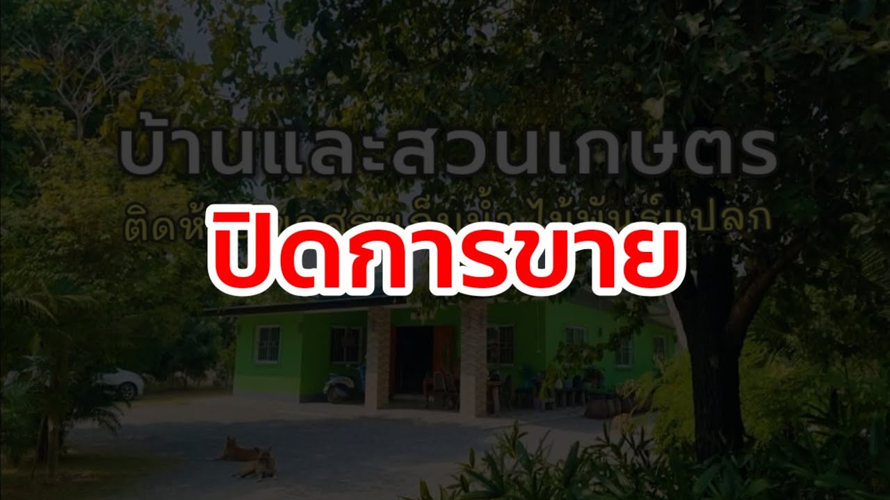 🔴 ปิดการขาย บ้านและสวนหลังนี้ ติดห้วยมีแหล่งน้ำ ขุดสระเลี้ยงปลา ปลูกต้นไม้พันธุ์แปลก