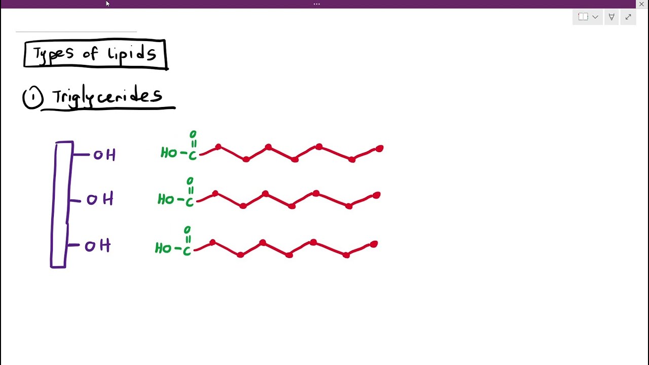 2-15 Lipids