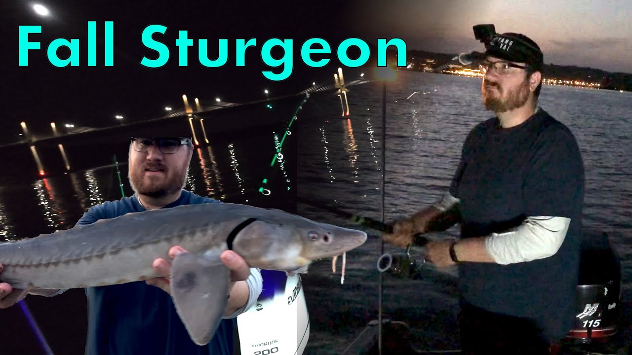 Hot Weather, Cool Fish! Early October Sturgeon Fishing in Not-So-Fall Heat