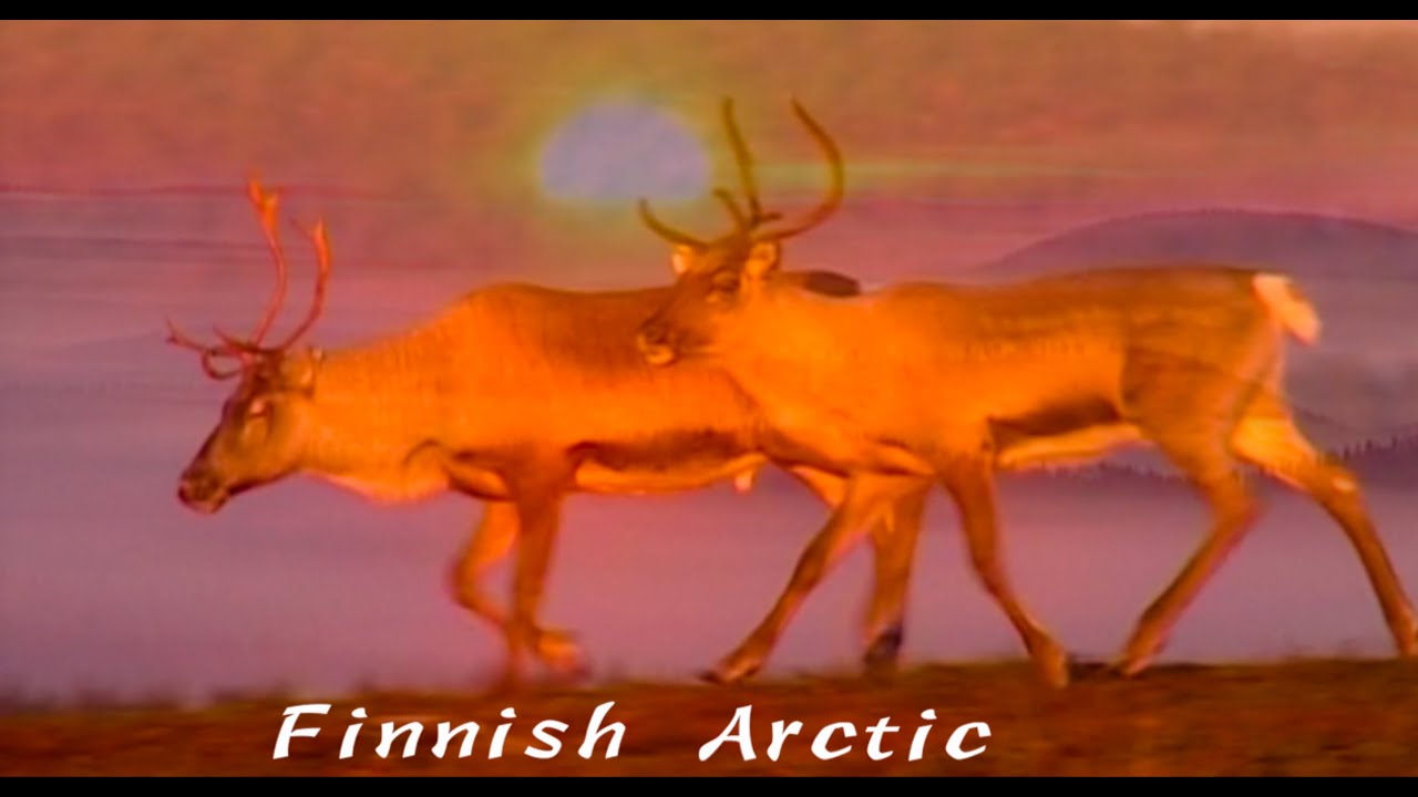 Suomen Lappi 1 Vaellus , Retki