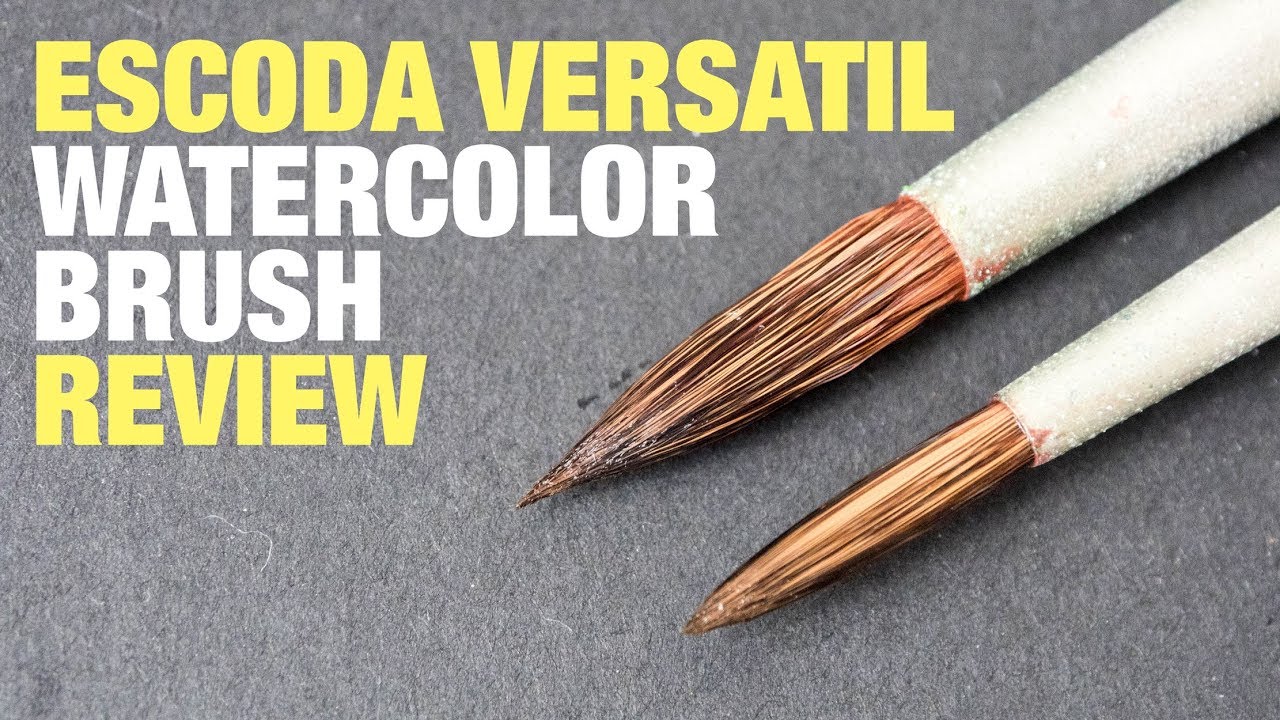Обзор: акварельная кисть Escoda Versatil