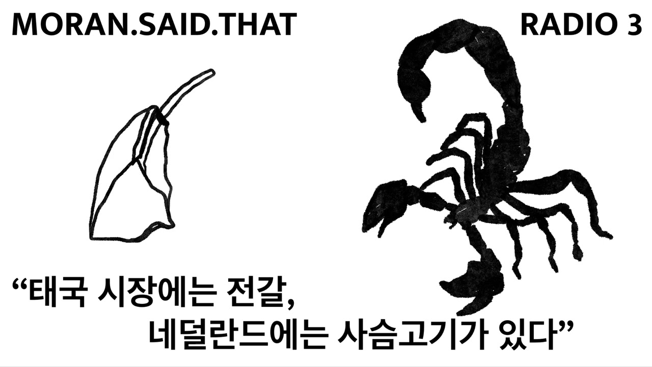 경상도 사투리 쓰는 일본인 미용사와 갈매기한테 내 생청어 털린 썰 푼다.
