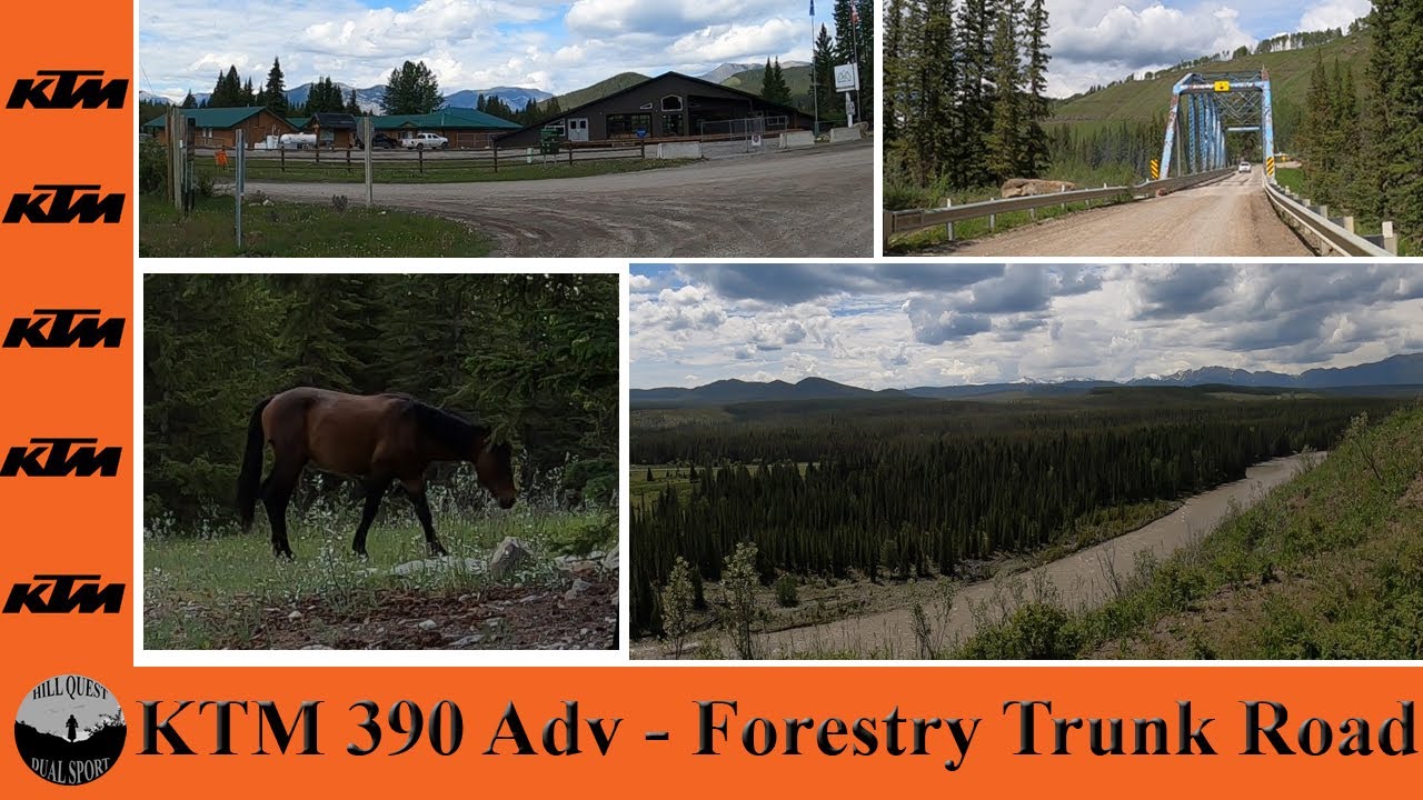 Forestry Trunk road - KTM #390adventure