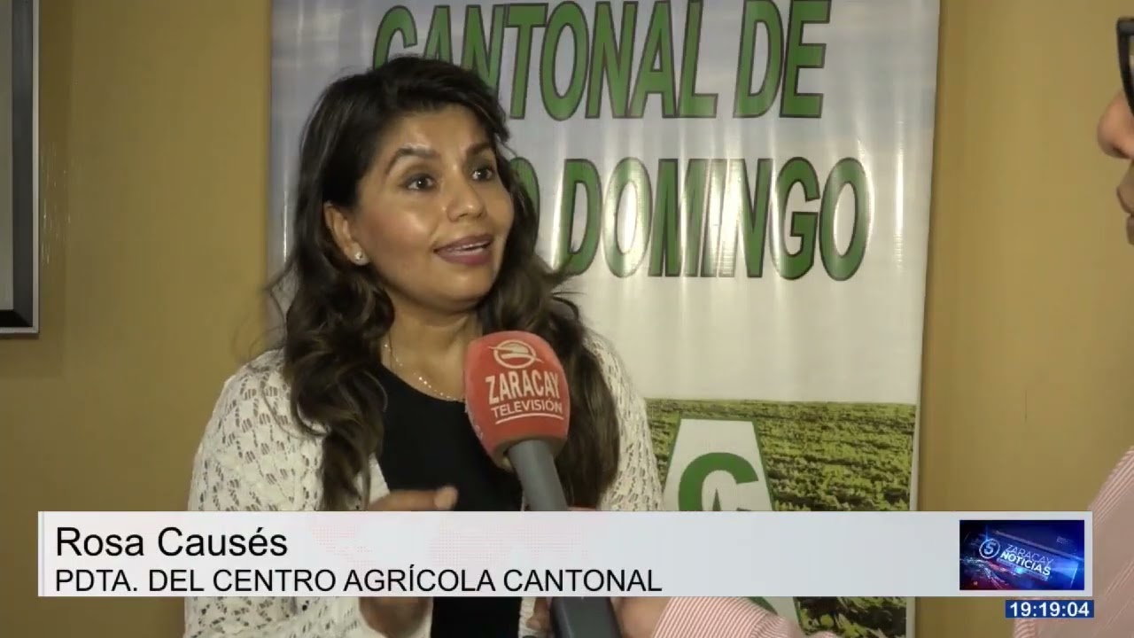 PRECIO DEL CACAO DISMINUYÓ SU VALOR EN MENOS DE UN MES