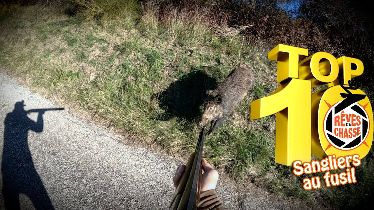 Top 10 R&ecirc;ves De Chasse n&deg;30 - Avril 2025 - 