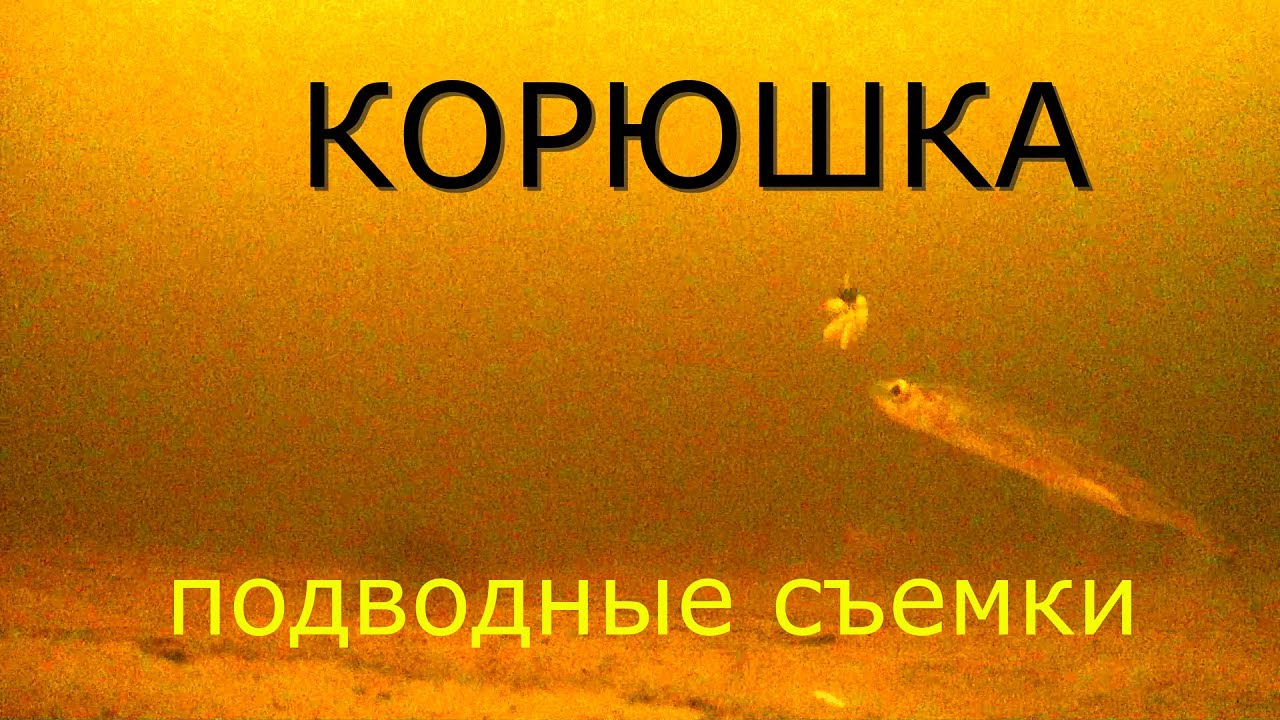 Ловля  корюшки! подводные съемки!