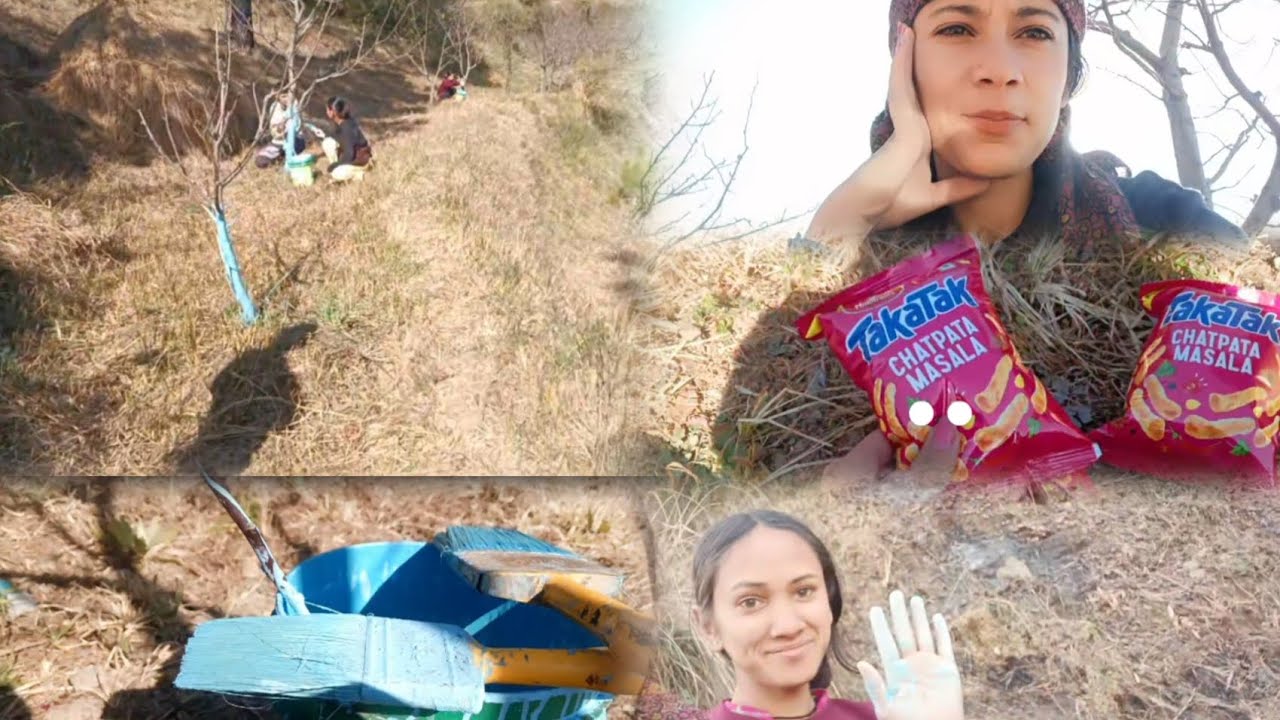 पेड़ो m चुने लगाने का काम जारी है🥹🥲।।#dailyvlog 🫶 #masti 💫।।Verma Vlogs।। #masti #likeandsubscribe।।