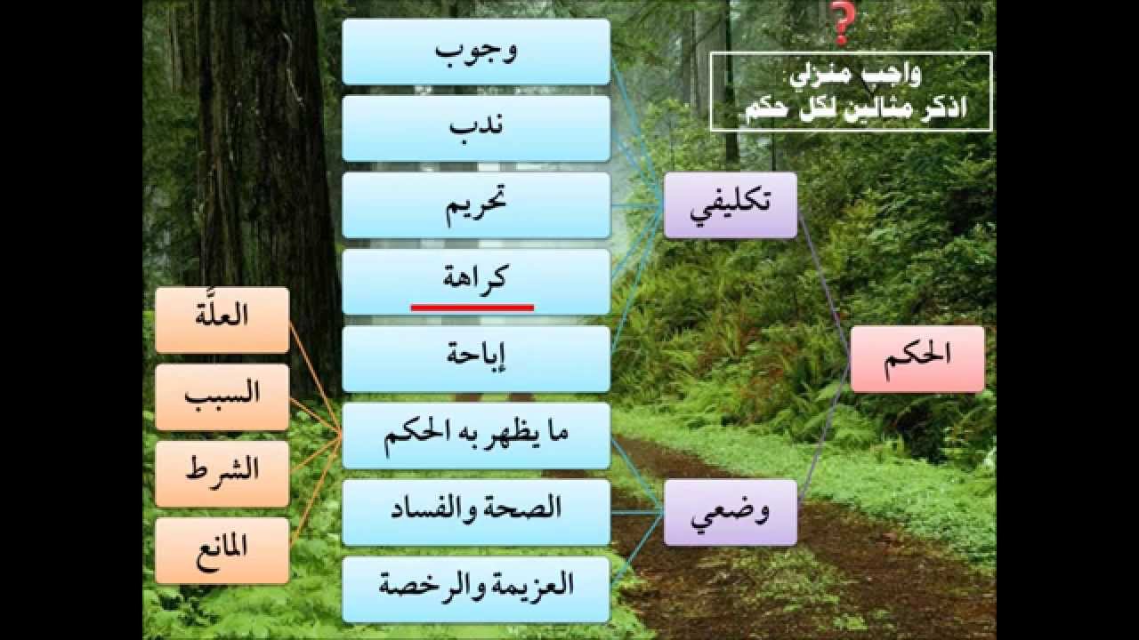 الطريق إلى علم أصول الفقه02 - الحكم الشرعي - عامر بهجت