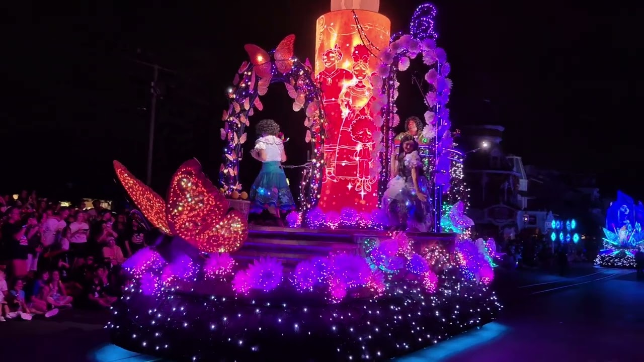 Magical Magic Kingdom Disney Starlight Show.