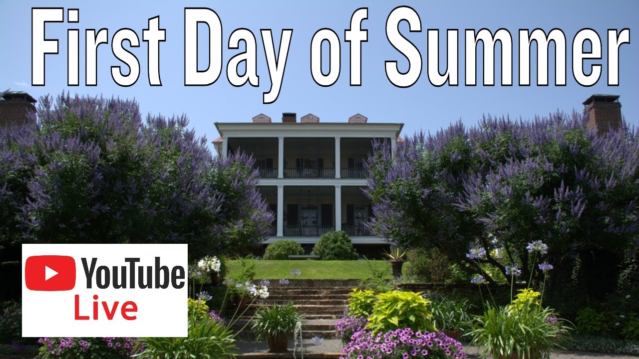 LIVE: Moss Mountain Farm | First Day of Summer