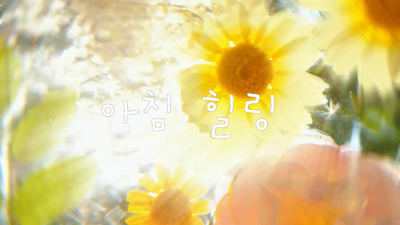 병원에서 재생하기 좋은 따사로운 햇살과 함께 듣는 피아노 음악💕 /병원음악