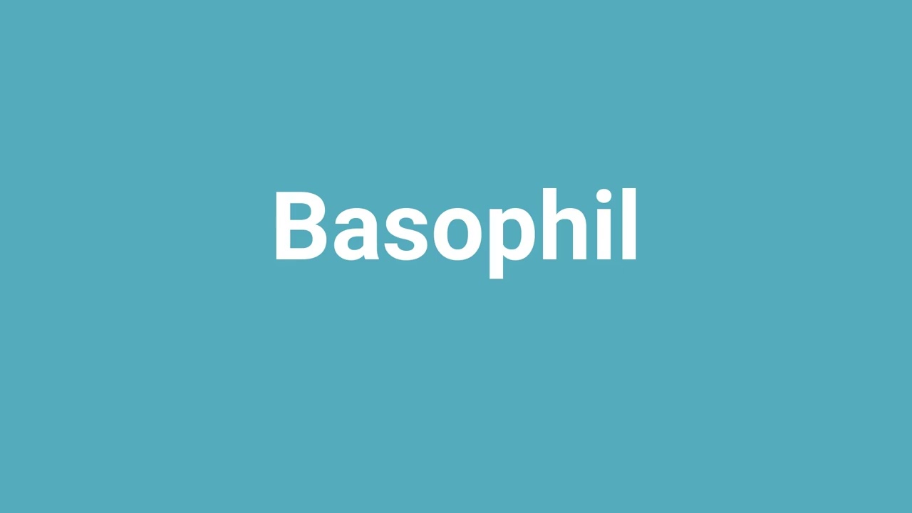 'Basophil' Meaning and Pronunciation