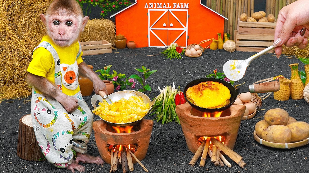Monkey Xuka plants seeds and harvests potatoes with aunt to make his favorite french fries