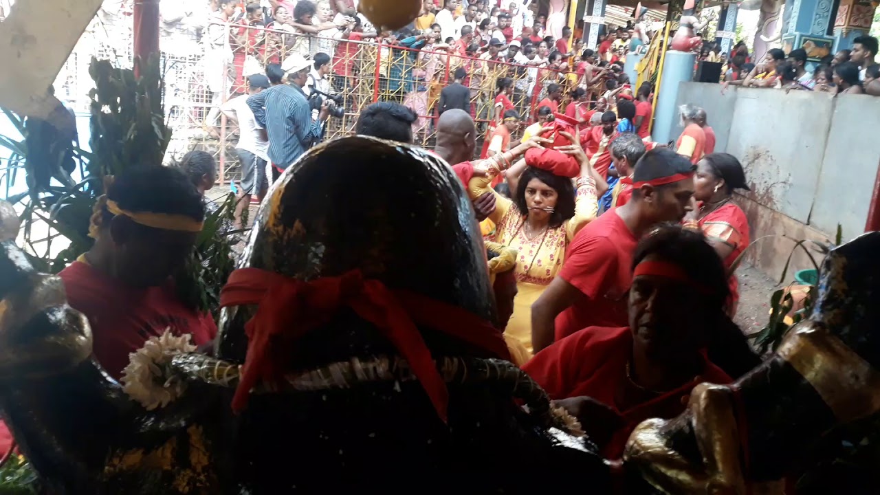 Medine Bambous Marche Sur Le Feu 25 Dec 2019