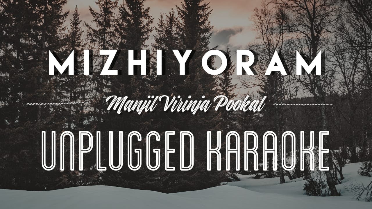 Mizhiyoram - Manjil Virinja Pookal | Karaoke with Lyrics | unplugged | Sebin Xavier Musical