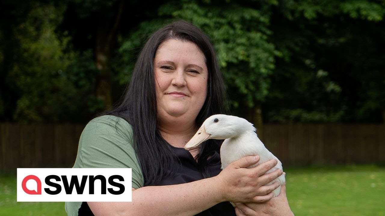 Meet the mum who hatched a DUCK from a Morrisons egg | SWNS