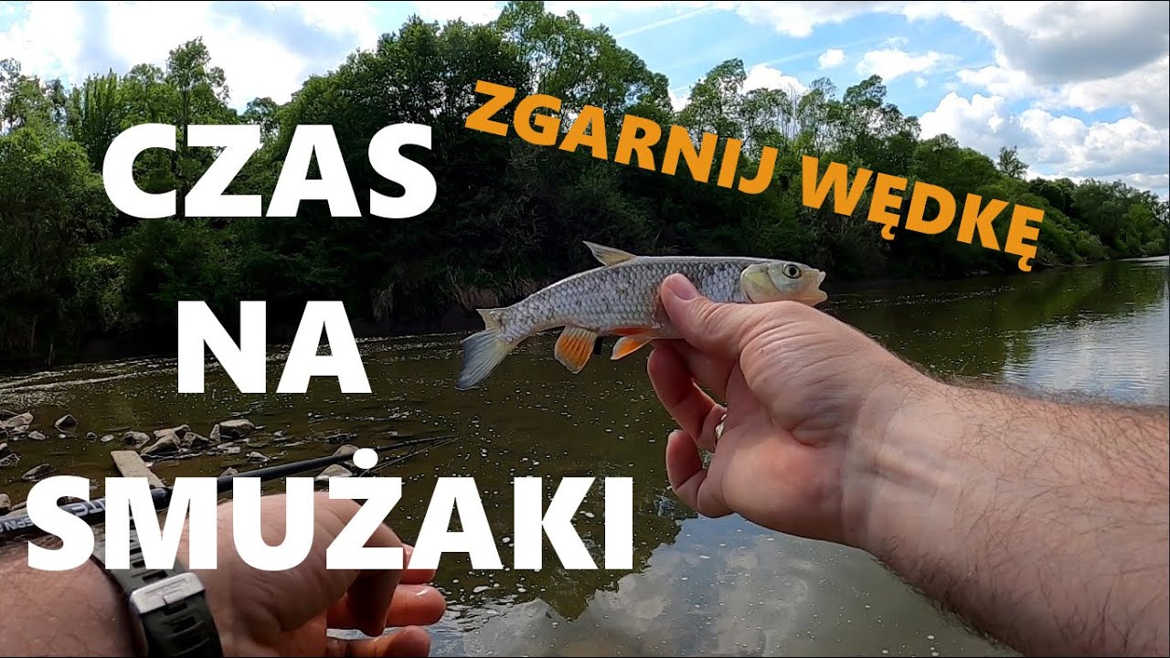 SZUKAM KLENI NA OWADY // ZGARNIJ WĘDKĘ !