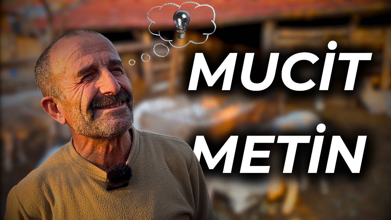 YOK BÖYLE BİR KOYUN | LAGUN İLE DOĞU FRİZ MELEZİ SÜT TANKI KUZU FABRİKALARI