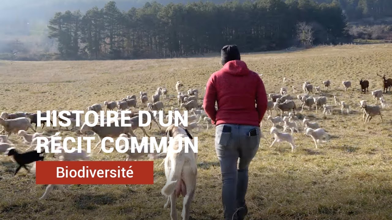 Histoire d'un récit commun, vivre ensemble et partager le Vercors
