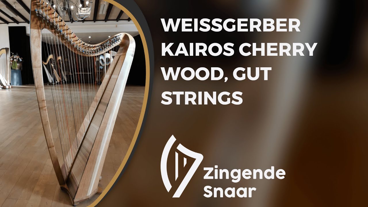 Weissgerber Kairos cherry wood, gut strings