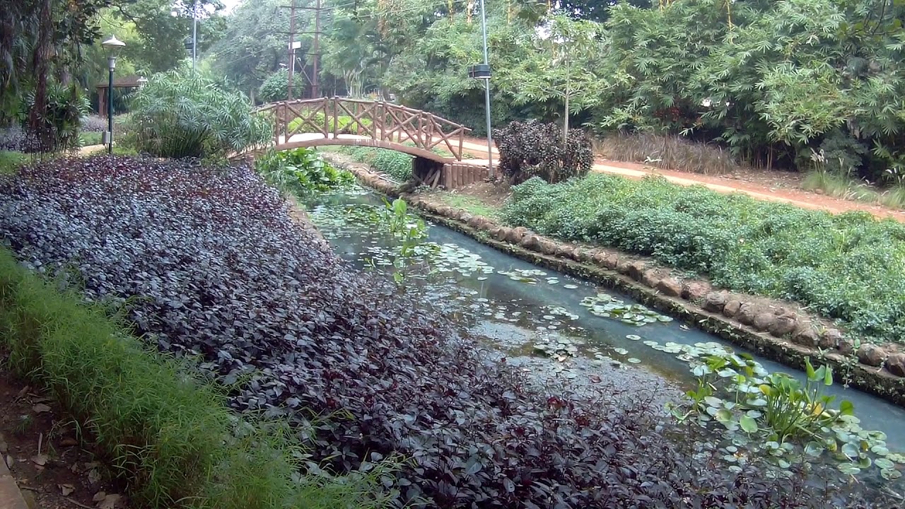 Places To Visit In Pune | Muredha Nala Park