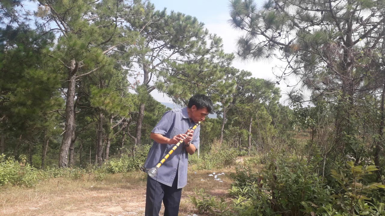Xob vaj - Raj nplaim kwv tij khiav tseg yu nyob kho kho siab