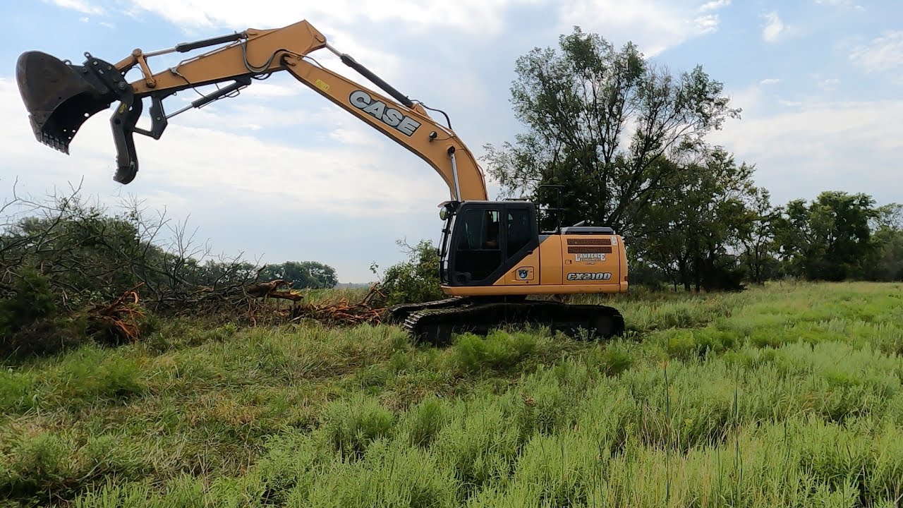More Fence line Clearing