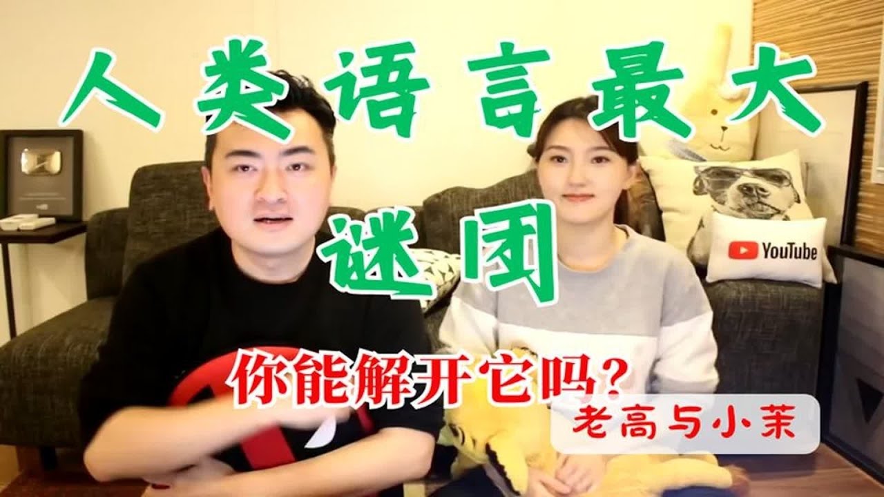 人类语言最大谜团，你能解开它吗？  老高与小茉 Mr & Mrs Gao