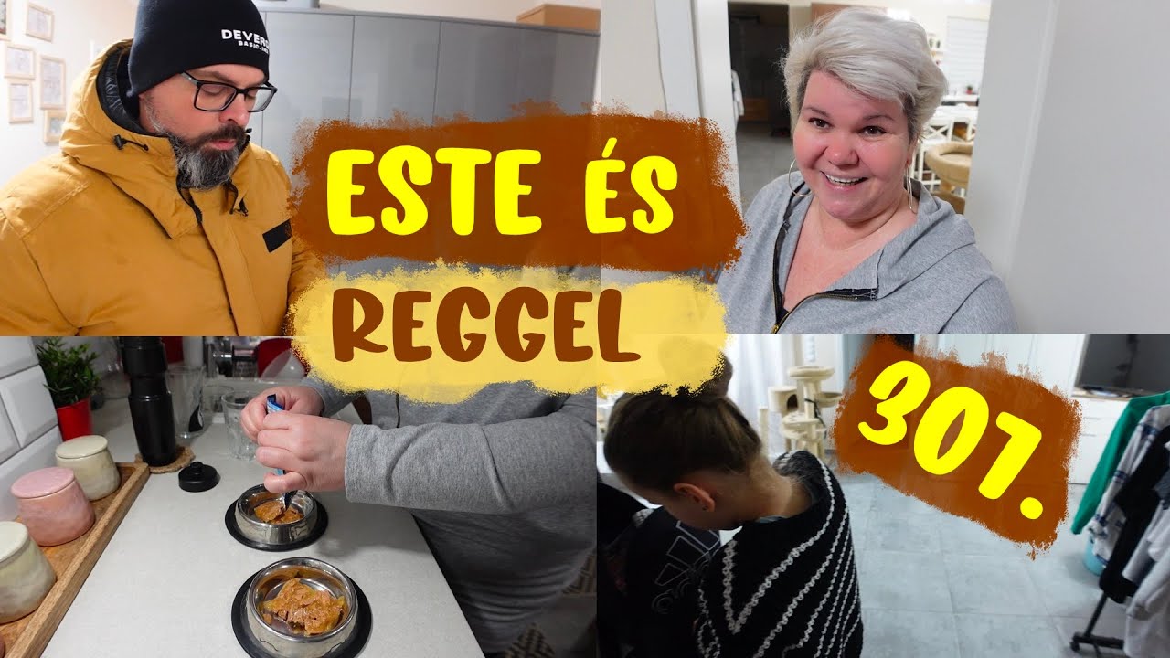 Este és reggel 307.rész