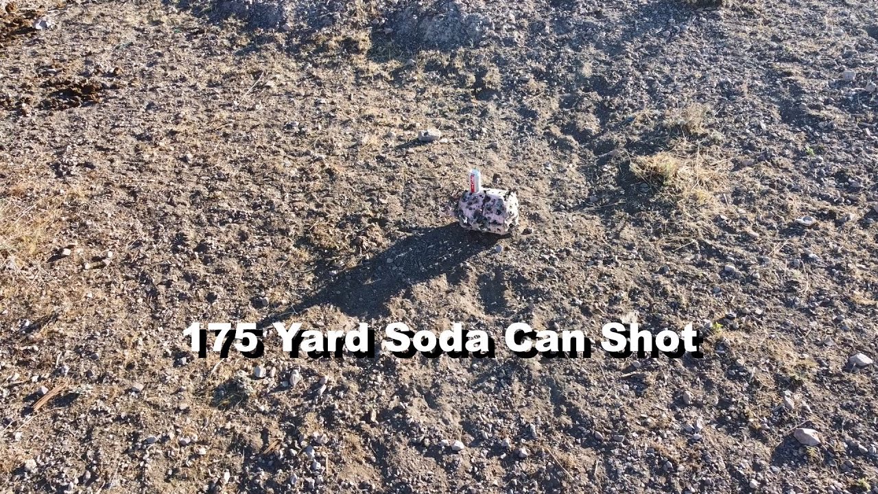 DJI Mini 2 Drone Spotter: 175 Yard Soda Can Shot with a Savage 110