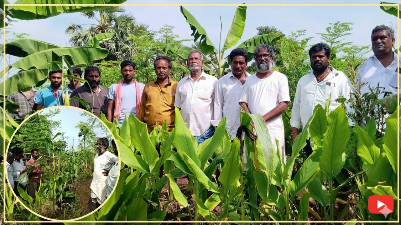 💲🤑 “ఎకరానికి ₹3 లక్షల ఆదాయం ఇస్తున్న 5 layer Natural Farming Model | Live Proof by Vijay Ram”