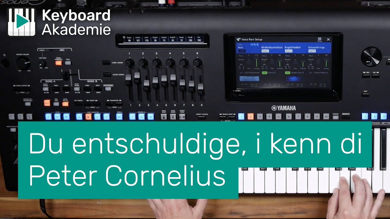 Du entschuldige, i kenn di // Peter Cornelius // KA live