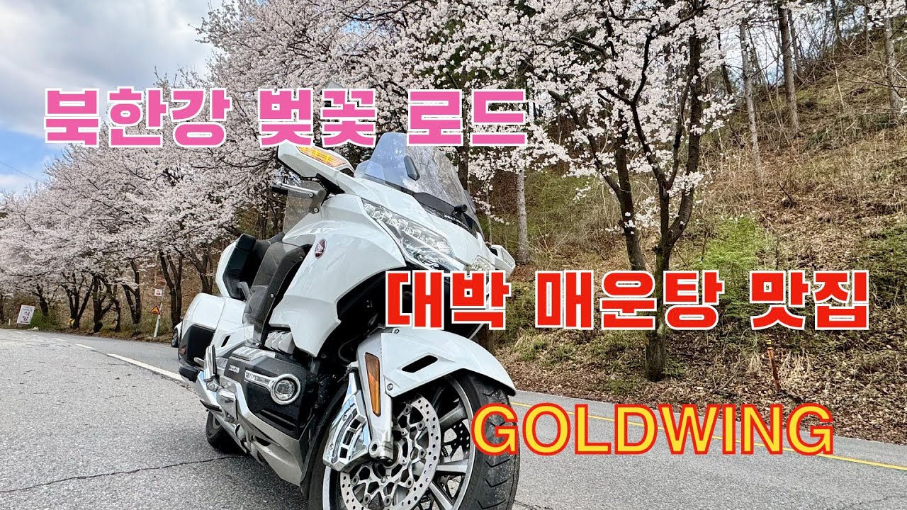북한강 벚꽃 로드 / 비바람 그 후 / 부부 바이크여행 / 골드윙 투어 MT / Motorcycle Tour Diary Ep 300