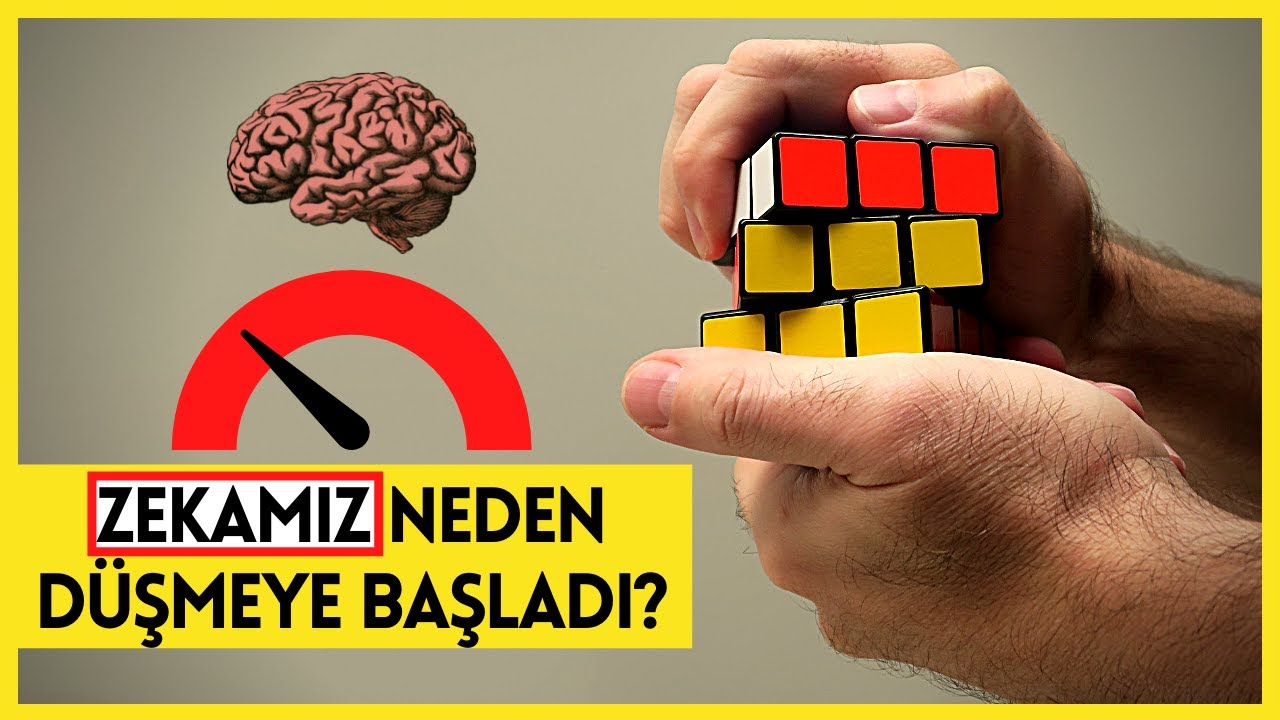 IQ, AHLAK ve BİLGELİK: Hepsi tek bir yolla mümkün!