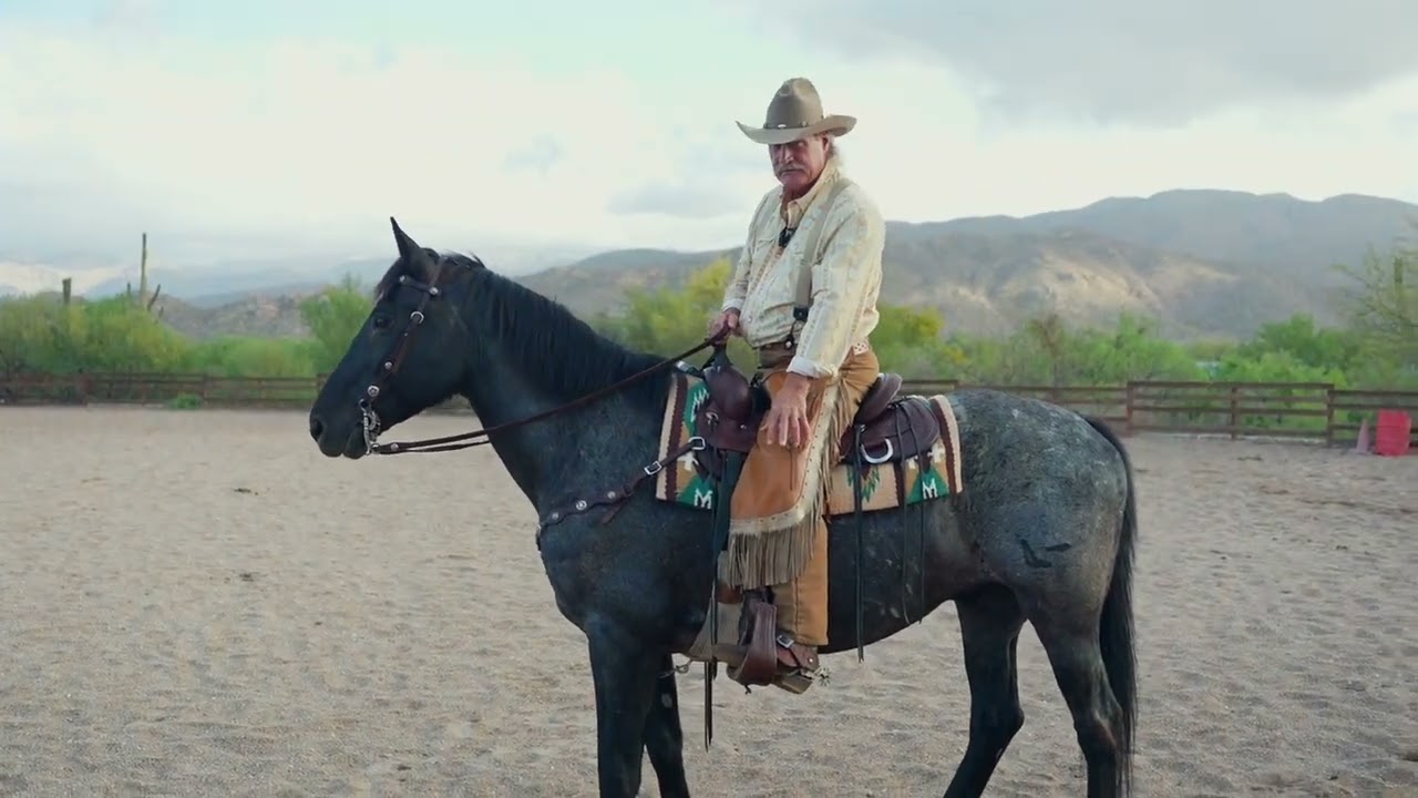 Western Riding: Walk through Lope.  Learn to ride with your horse -Centered Riding by Bill Cremen