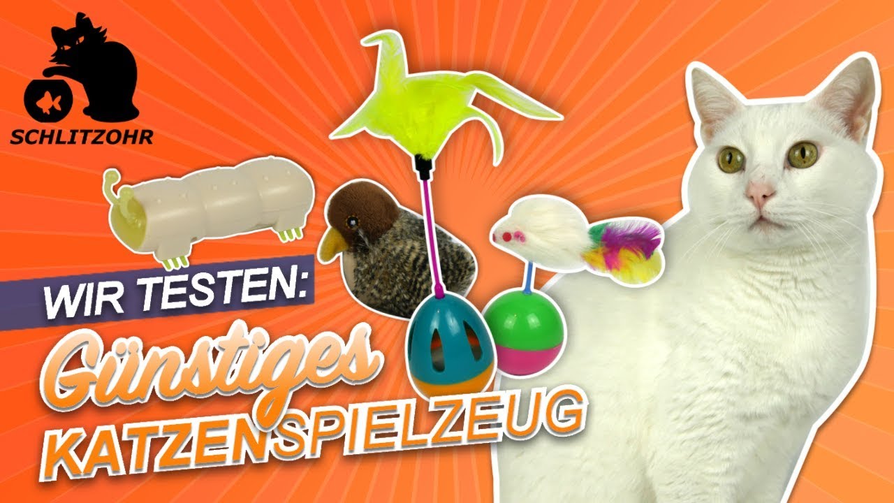 🔥Katzenspielzeug Test | 5 günstige Katzen-Gadgets von Amazon im Test