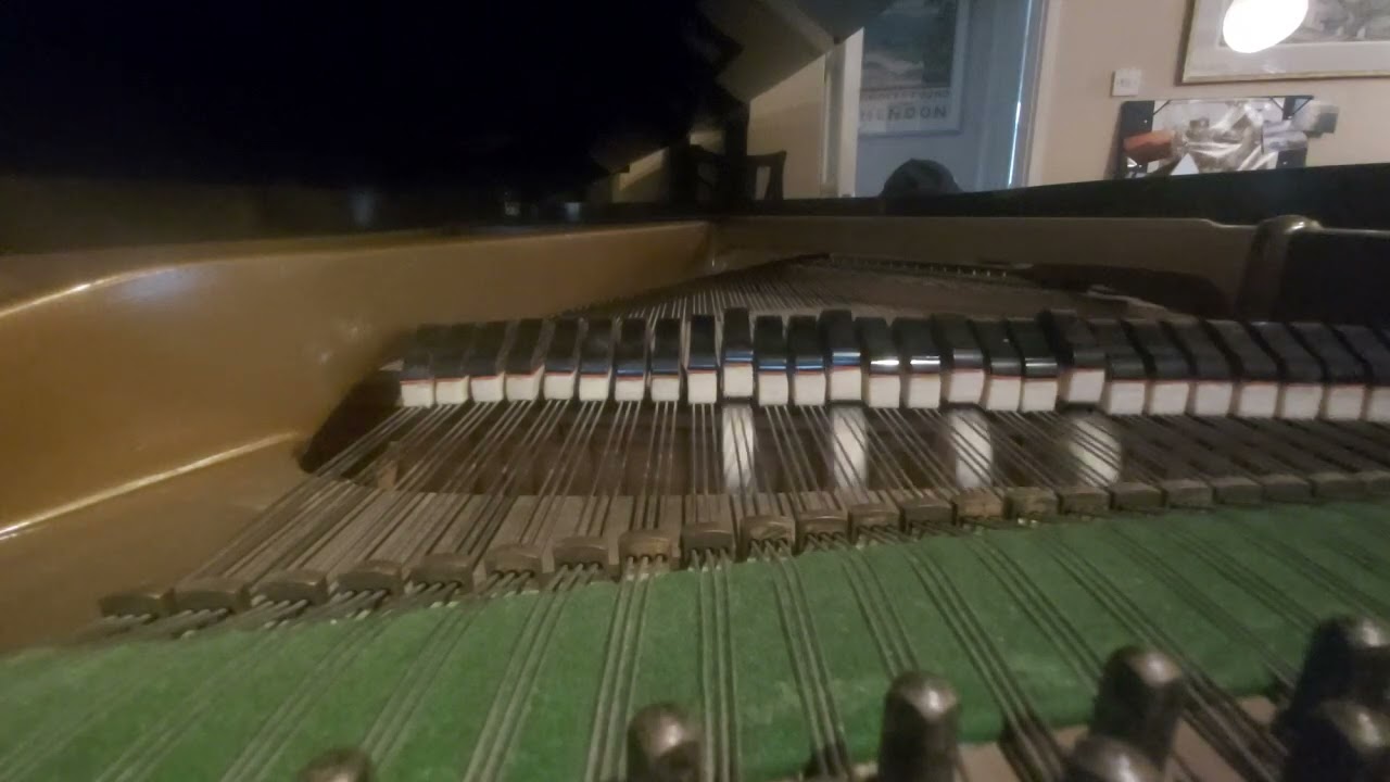 HENDERSON STOMP : pianola performance by Adam Ramet 