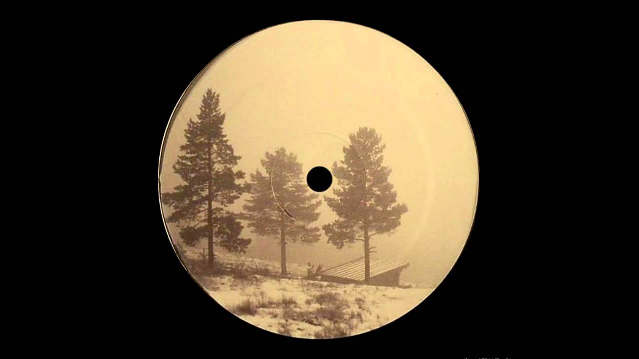 Varg - Västra Skogen